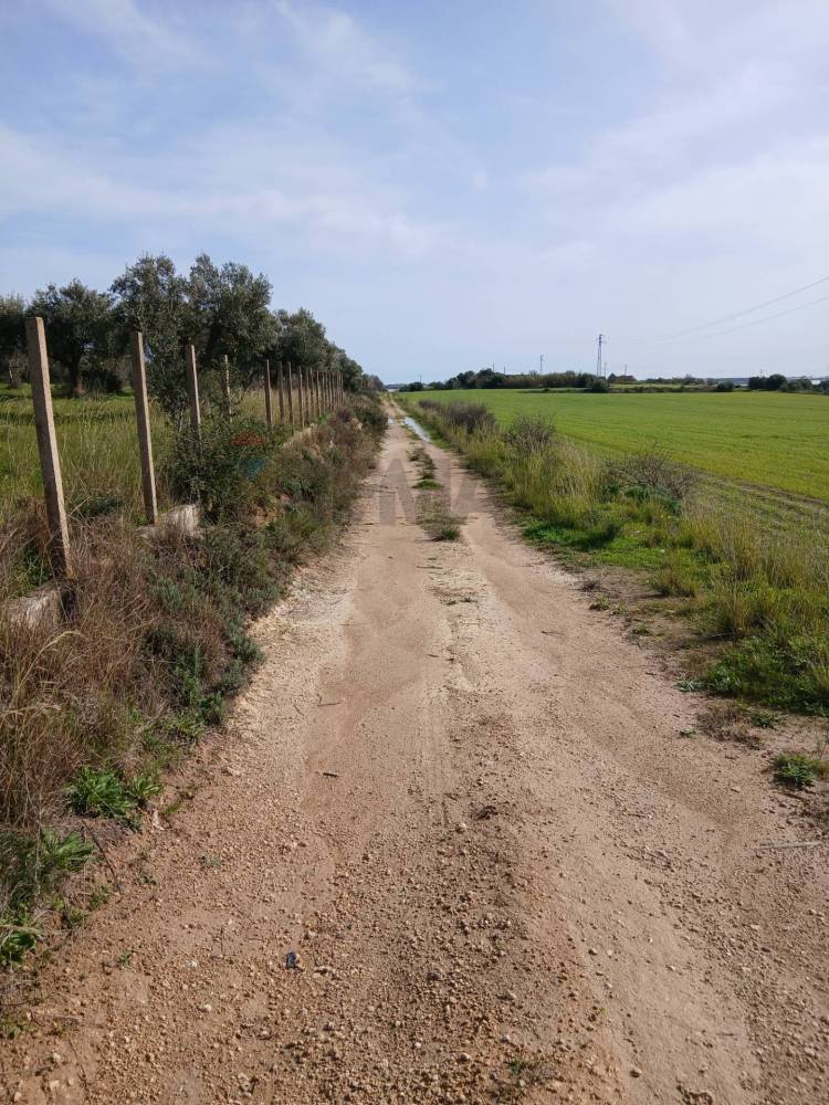 immagine annuncio 10 di 13