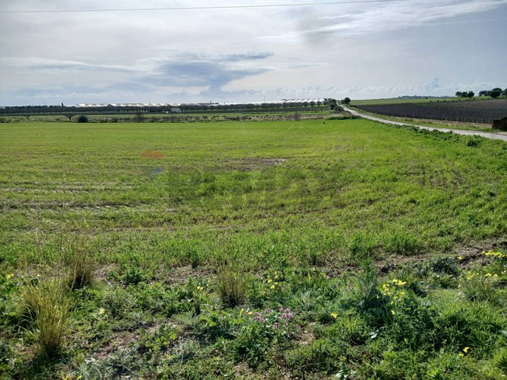 immagine annuncio 11 di 13