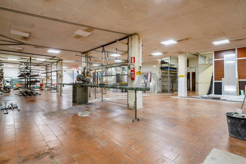 immagine annuncio 7 di 13