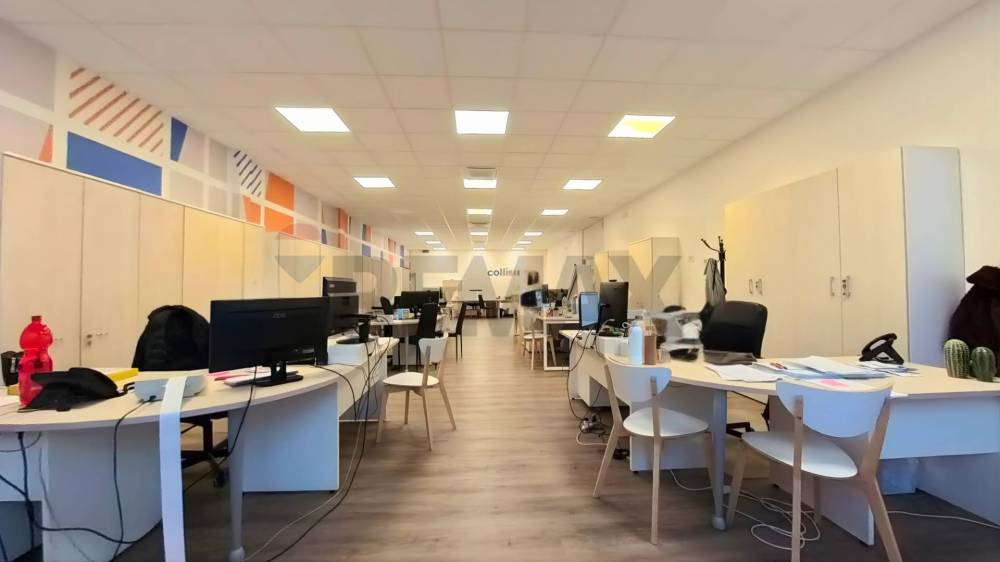 immagine annuncio 4 di 13