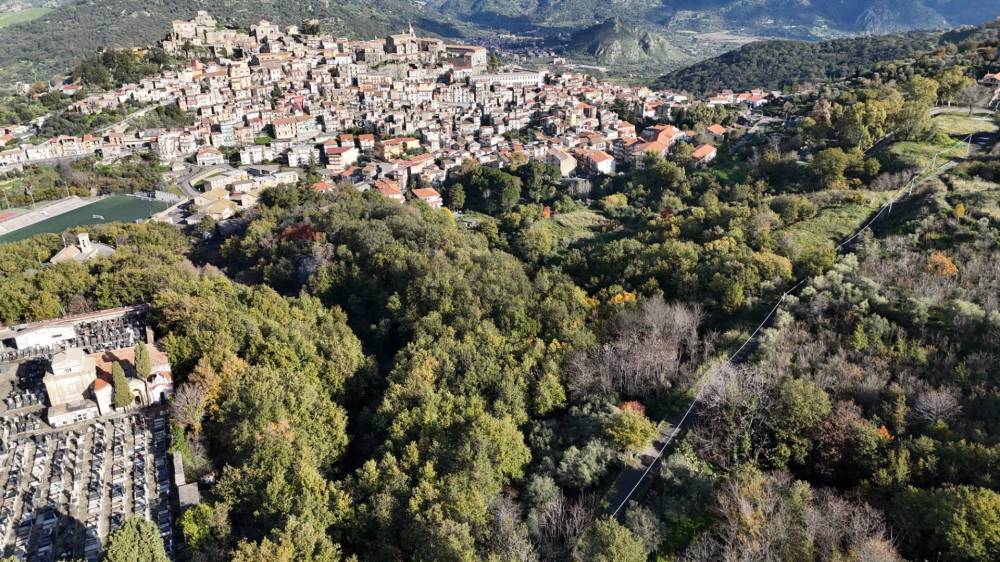 immagine annuncio 12 di 13