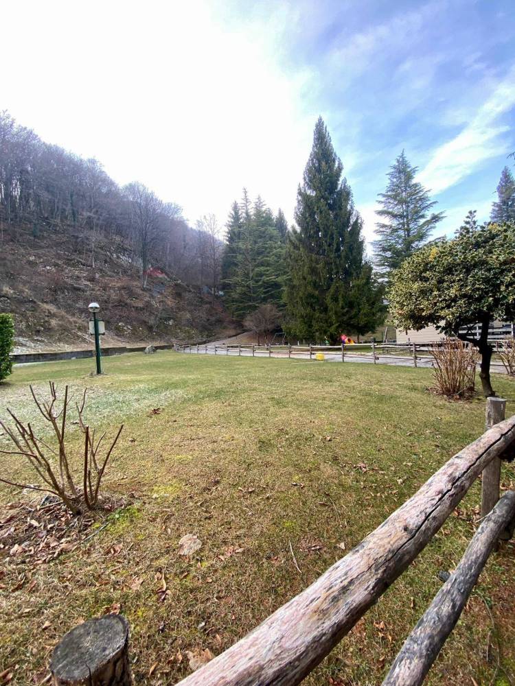 immagine annuncio 11 di 13