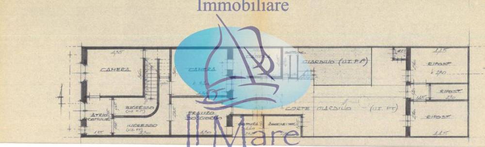 immagine annuncio 1 di 12