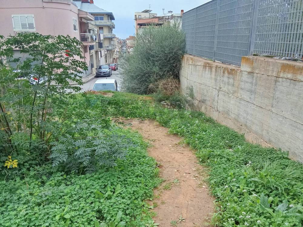 immagine annuncio 8 di 13