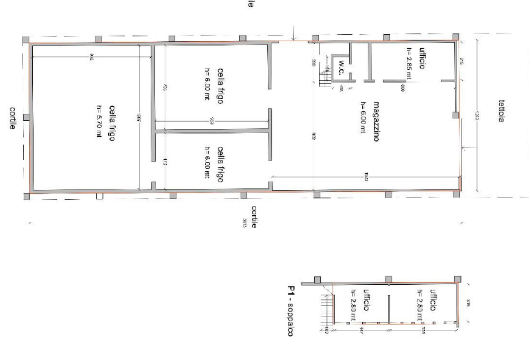 immagine annuncio 2 di 13