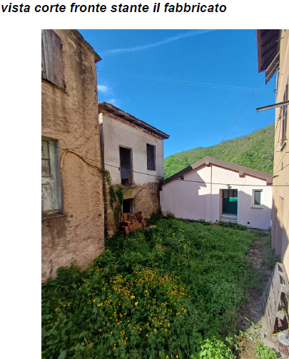 immagine annuncio 8 di 12