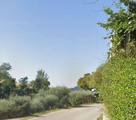 immagine annuncio 2 di 13