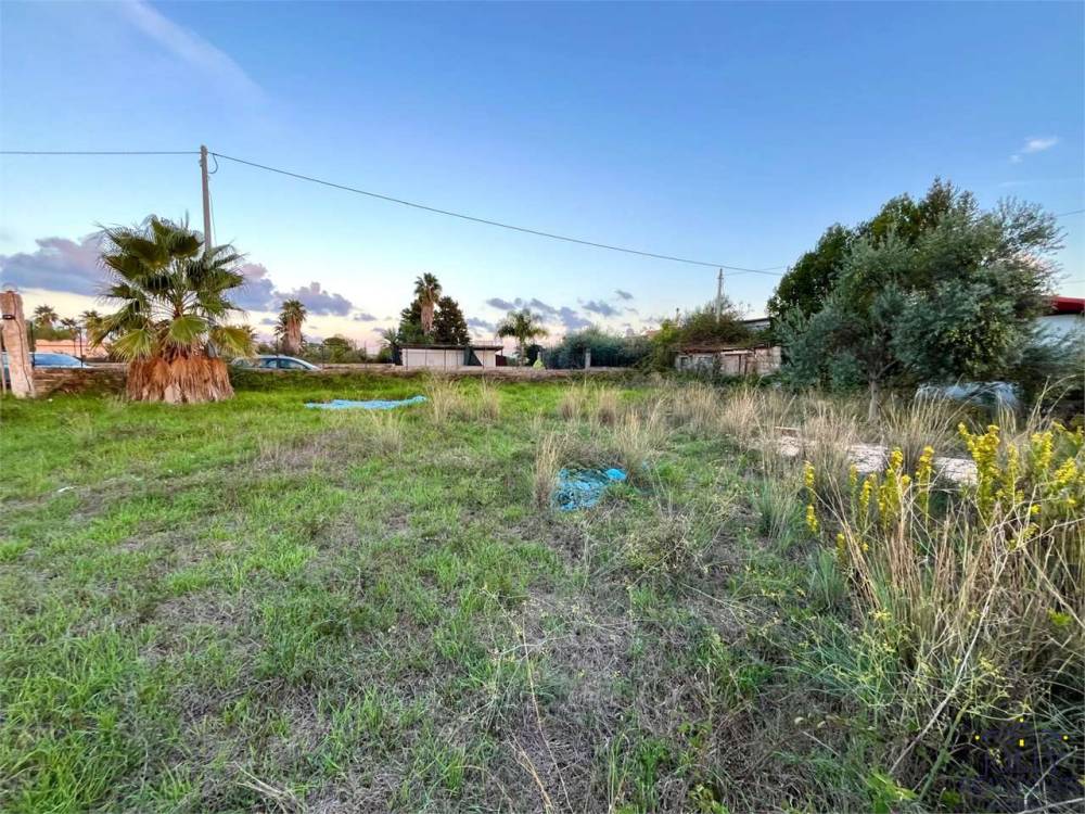 immagine annuncio 9 di 13