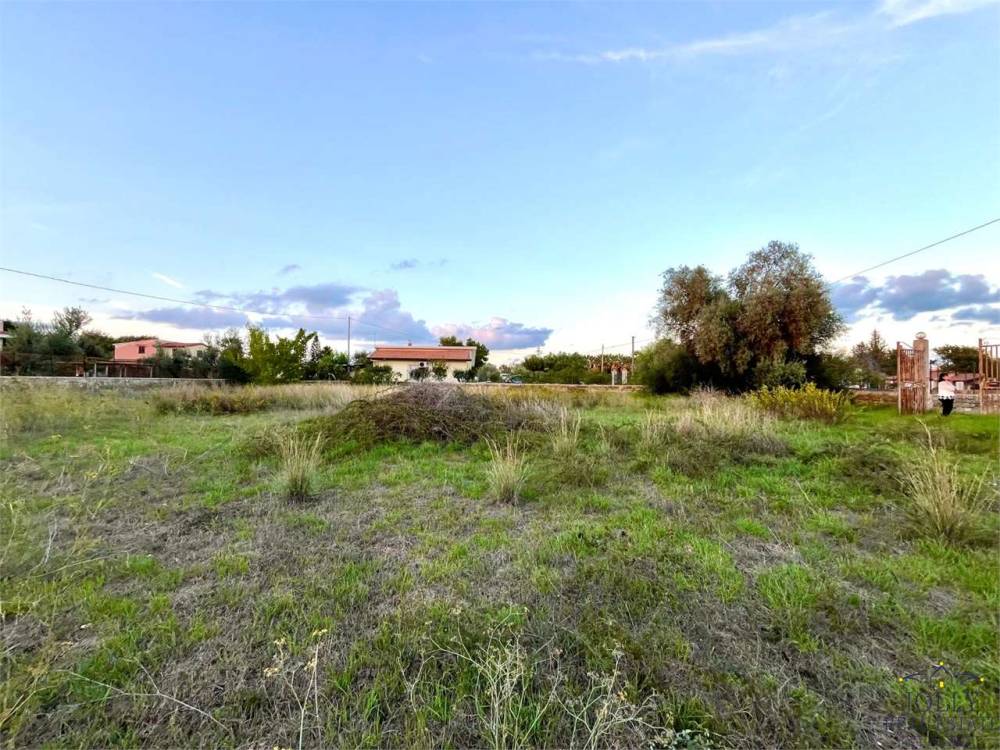 immagine annuncio 12 di 13