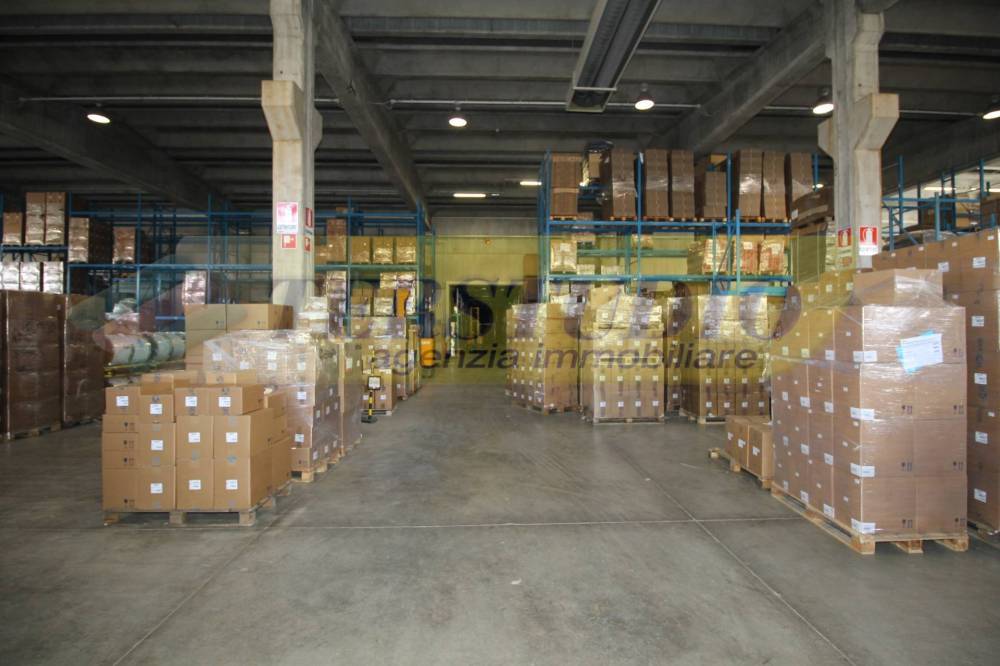 immagine annuncio 5 di 6