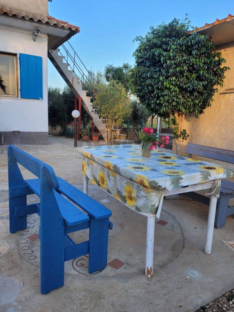 immagine annuncio 6 di 13