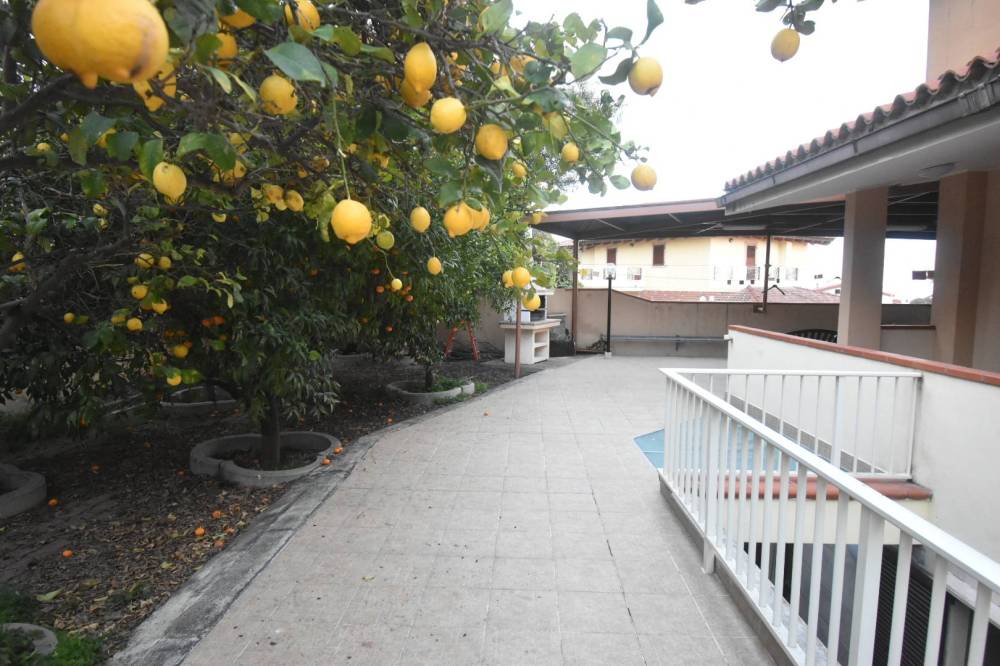 immagine annuncio 10 di 13