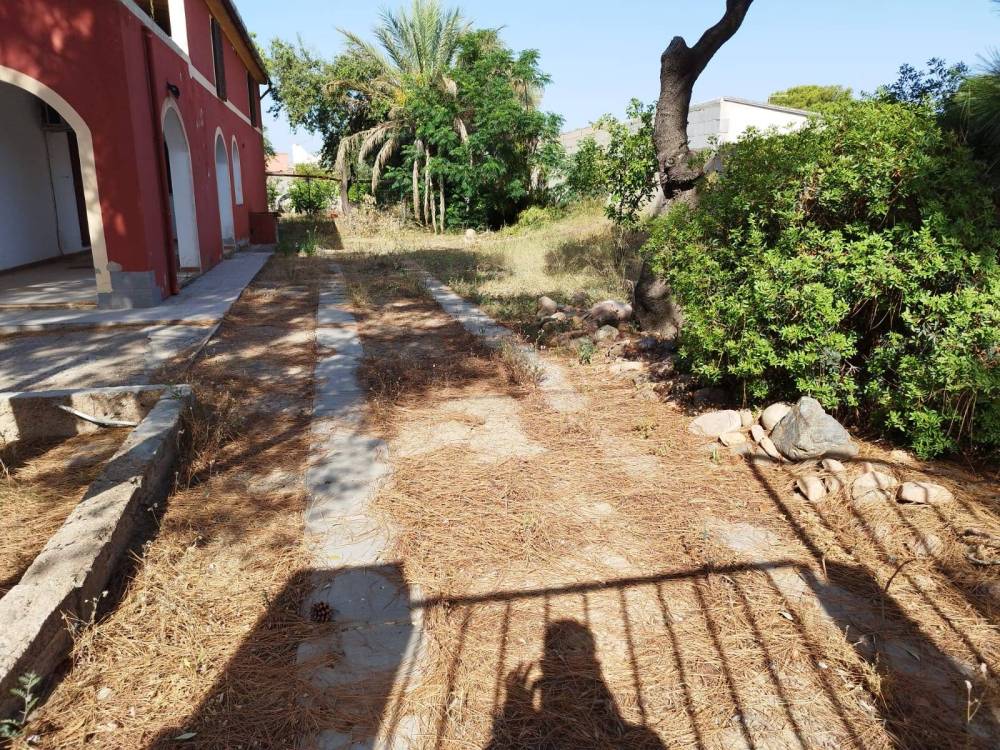 immagine annuncio 3 di 13