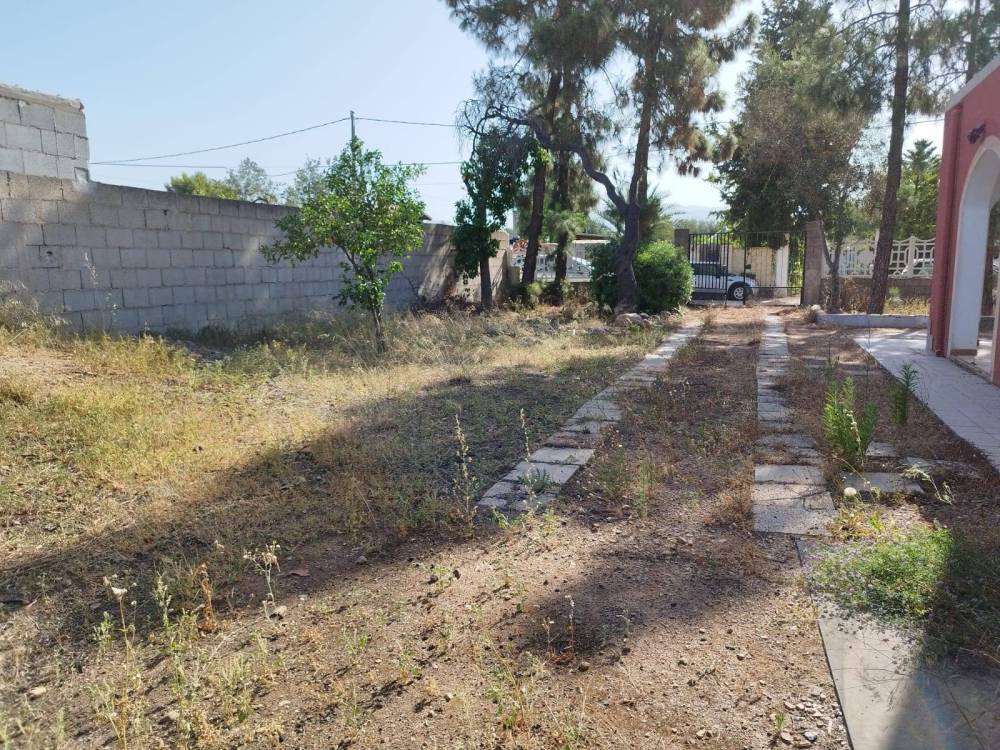 immagine annuncio 4 di 13