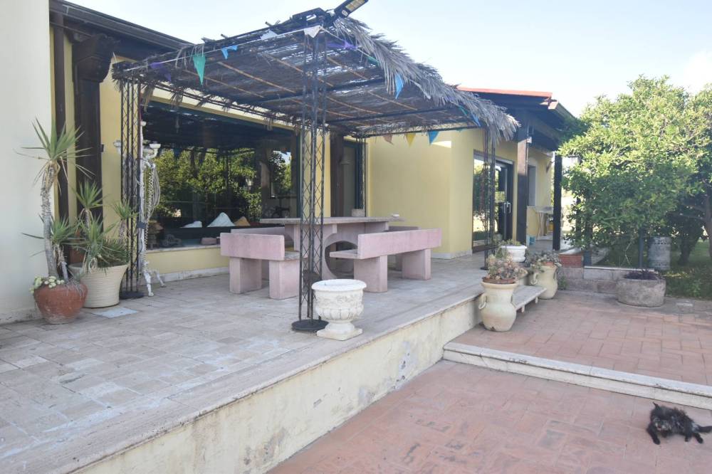 immagine annuncio 12 di 13