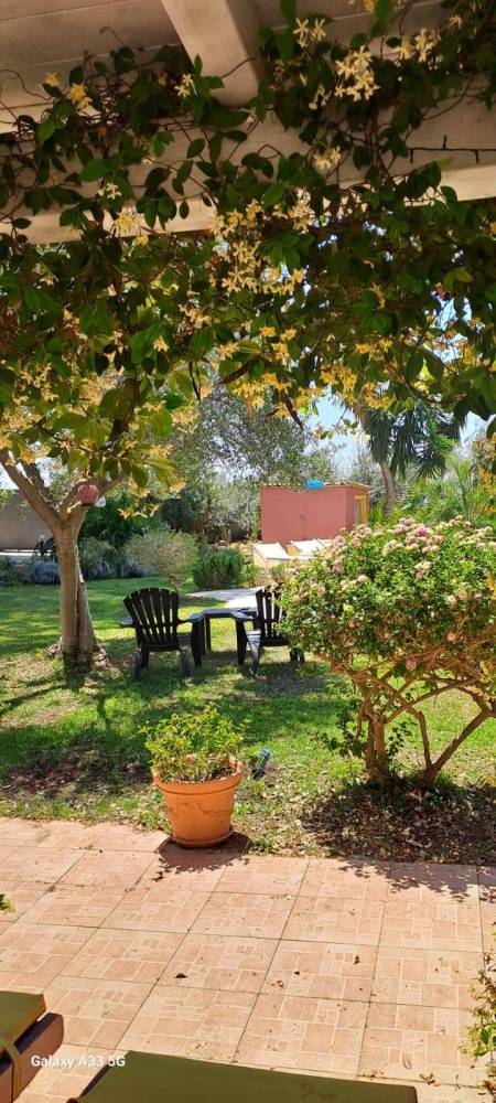 immagine annuncio 9 di 13