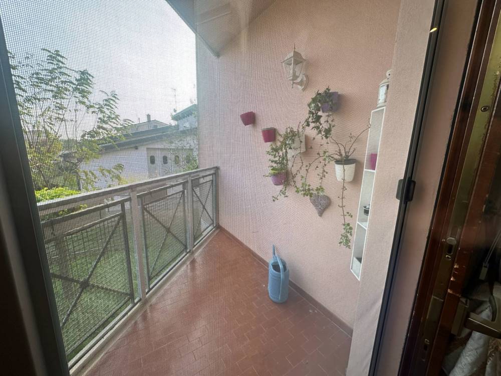 immagine annuncio 5 di 13