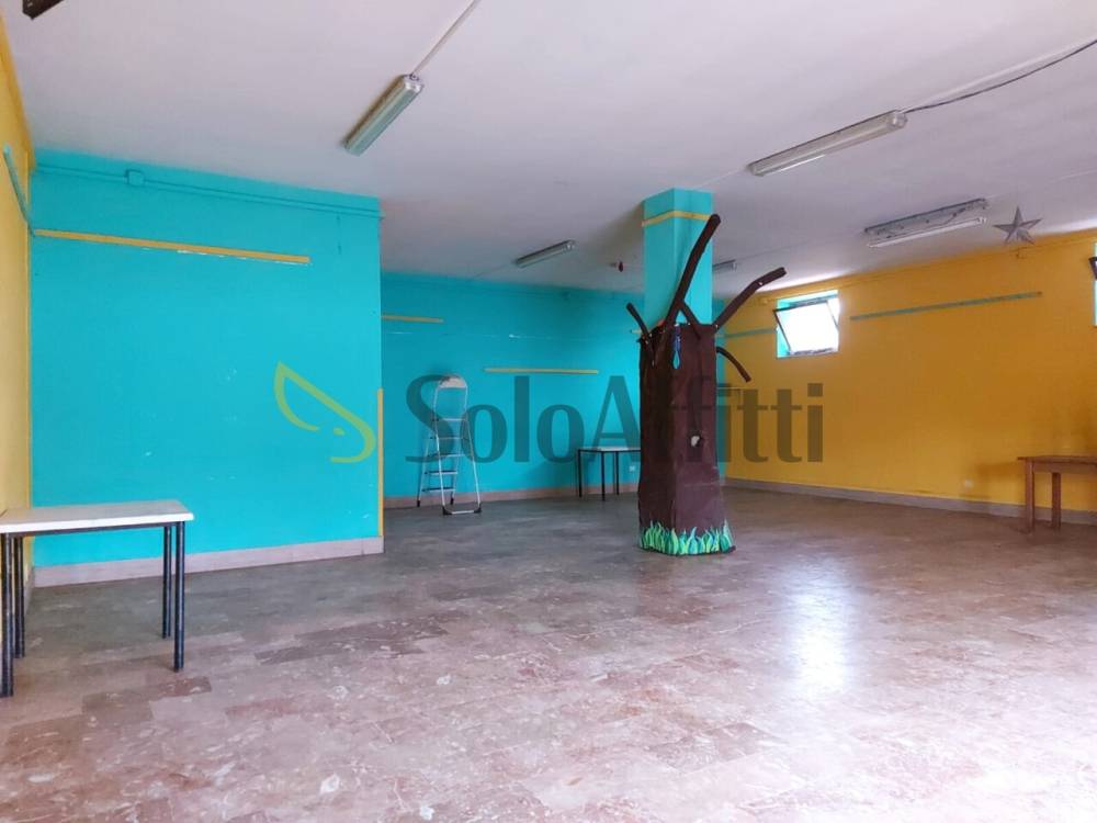 immagine annuncio 5 di 13