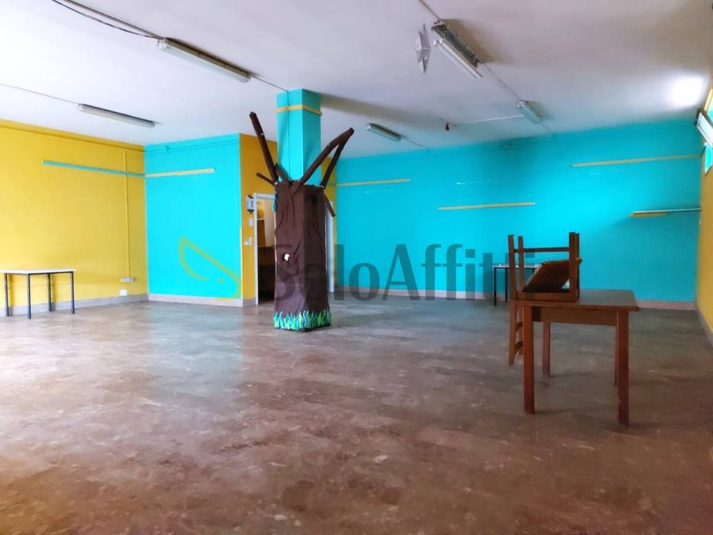 immagine annuncio 3 di 13