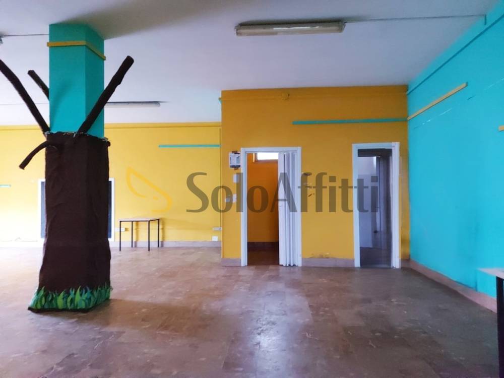 immagine annuncio 12 di 13