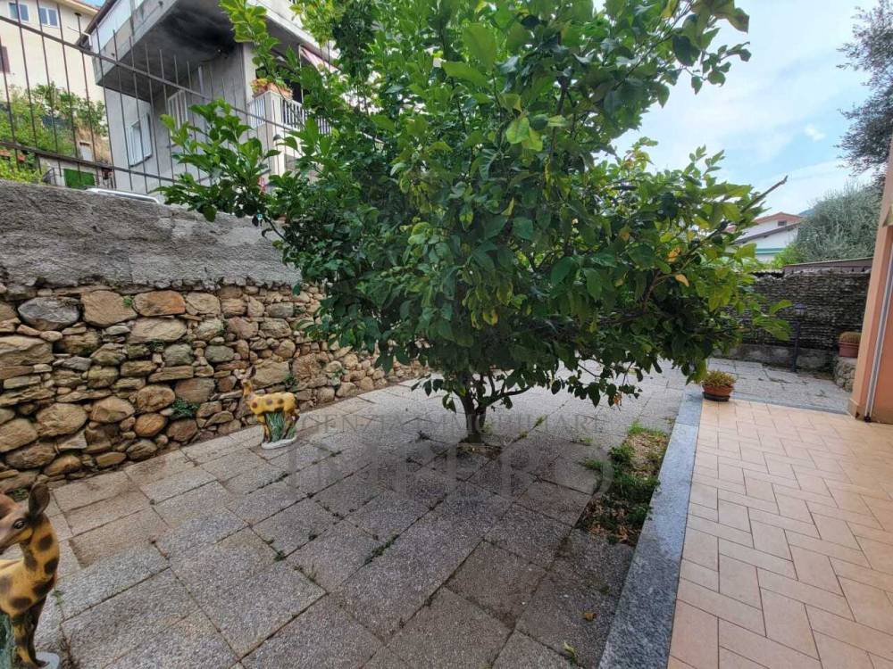 immagine annuncio 4 di 13