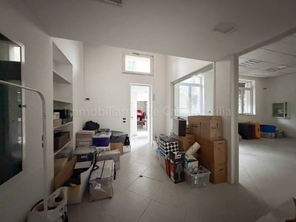 immagine annuncio 5 di 7