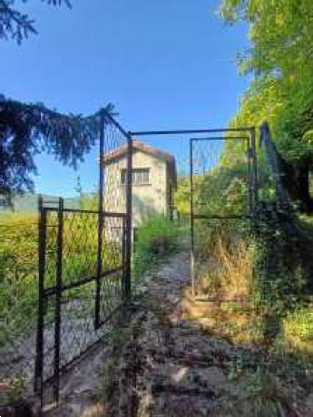 immagine annuncio 9 di 13