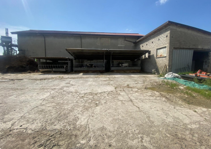 immagine annuncio 7 di 13