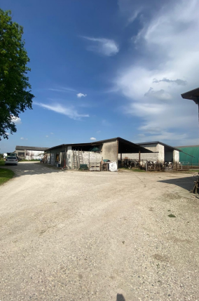 immagine annuncio 10 di 13