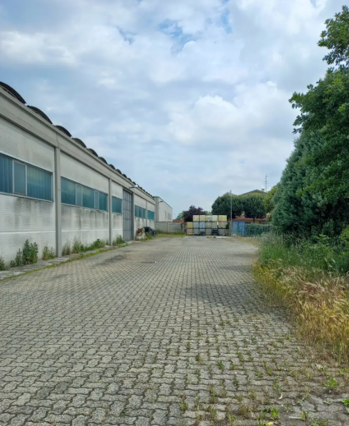 immagine annuncio 2 di 13