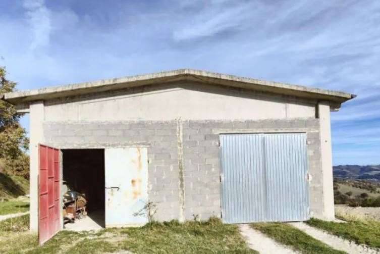 immagine annuncio 1 di 13