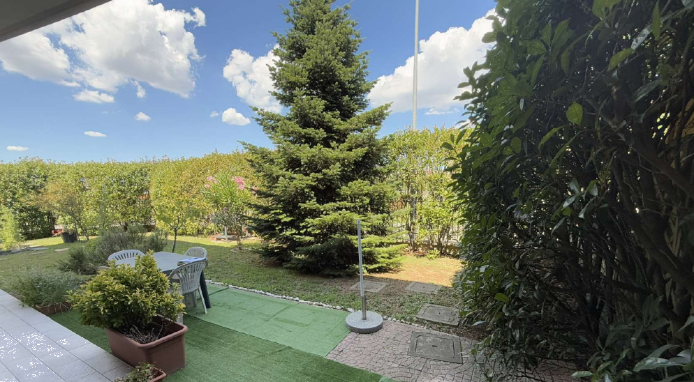 immagine annuncio 6 di 13