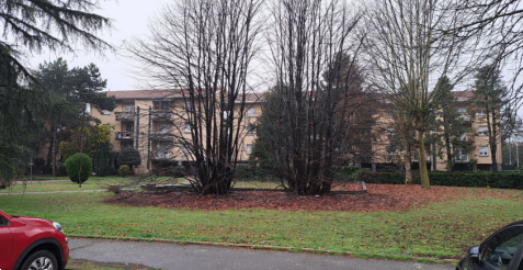 immagine annuncio 2 di 13