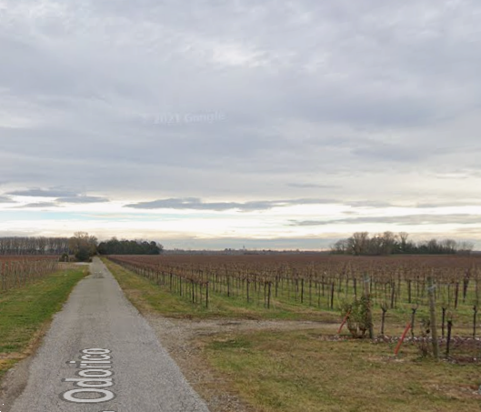 immagine annuncio 5 di 9