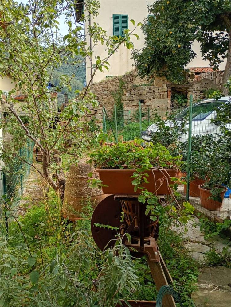 immagine annuncio 1 di 13