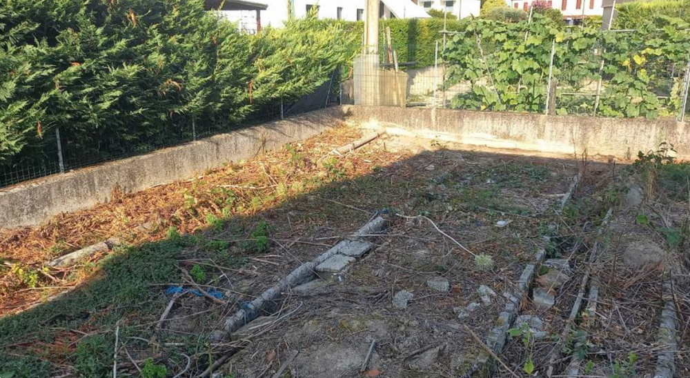 immagine annuncio 7 di 13