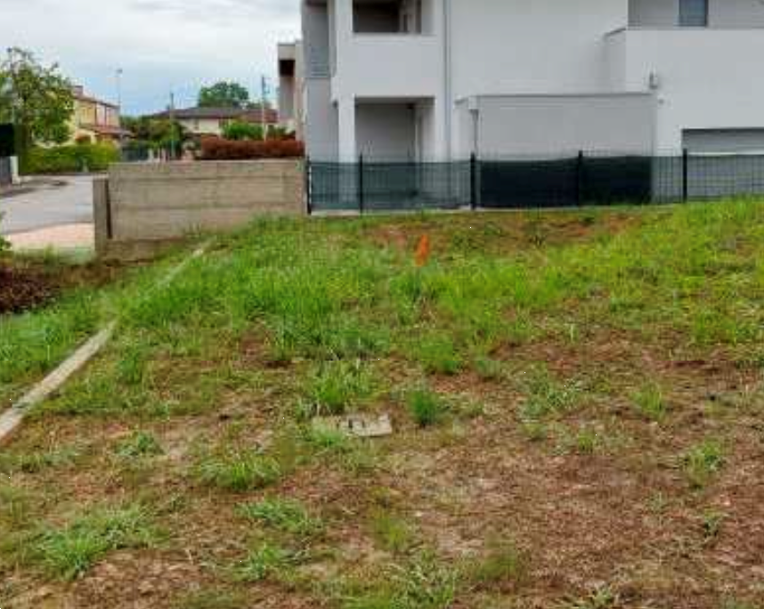 immagine annuncio 7 di 13