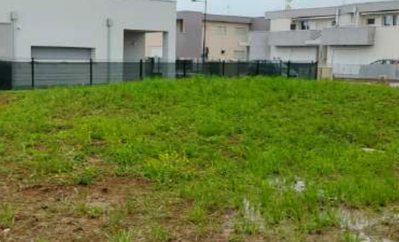 immagine annuncio 8 di 13