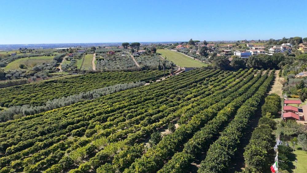 immagine annuncio 3 di 13