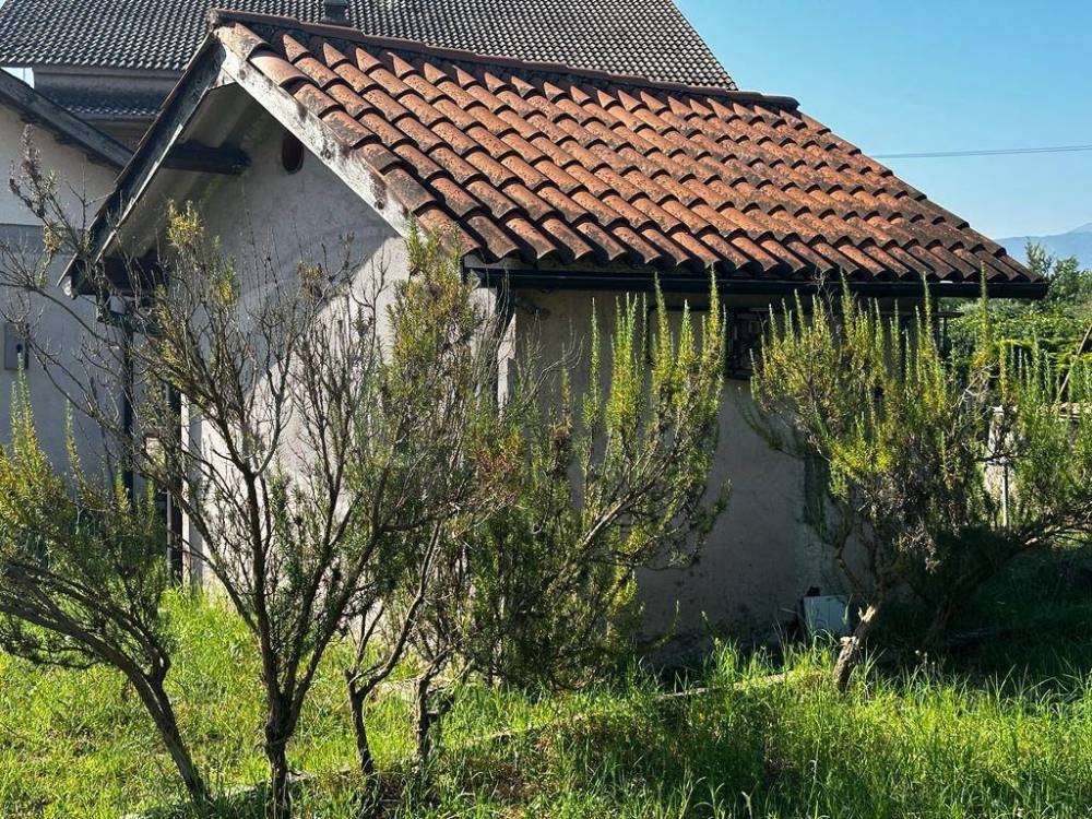 immagine annuncio 5 di 13