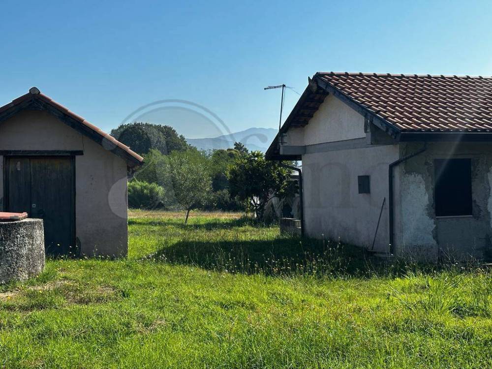 immagine annuncio 4 di 13