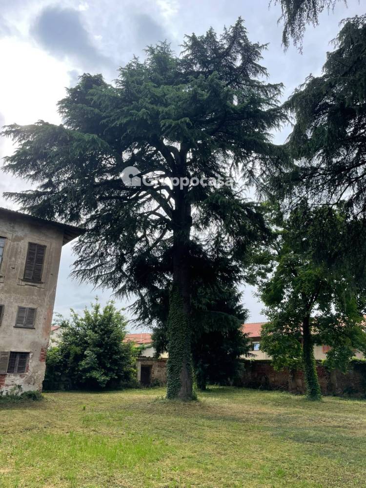 immagine annuncio 5 di 13