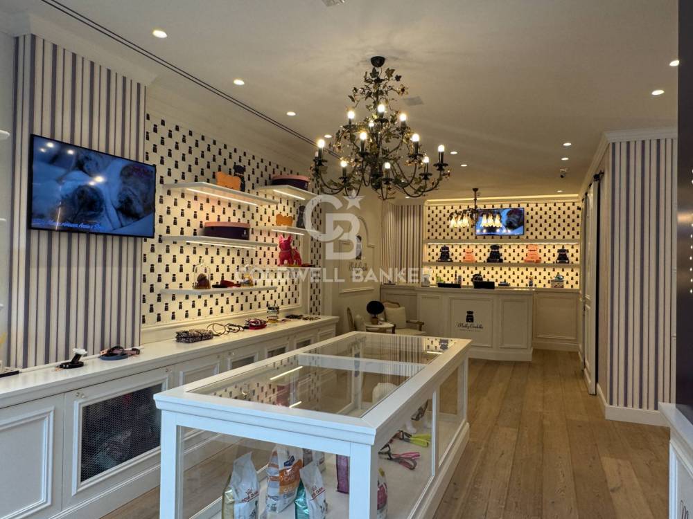 immagine annuncio 7 di 13