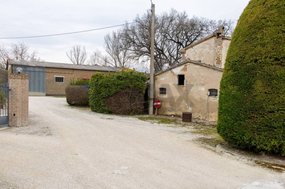 immagine annuncio 1 di 7