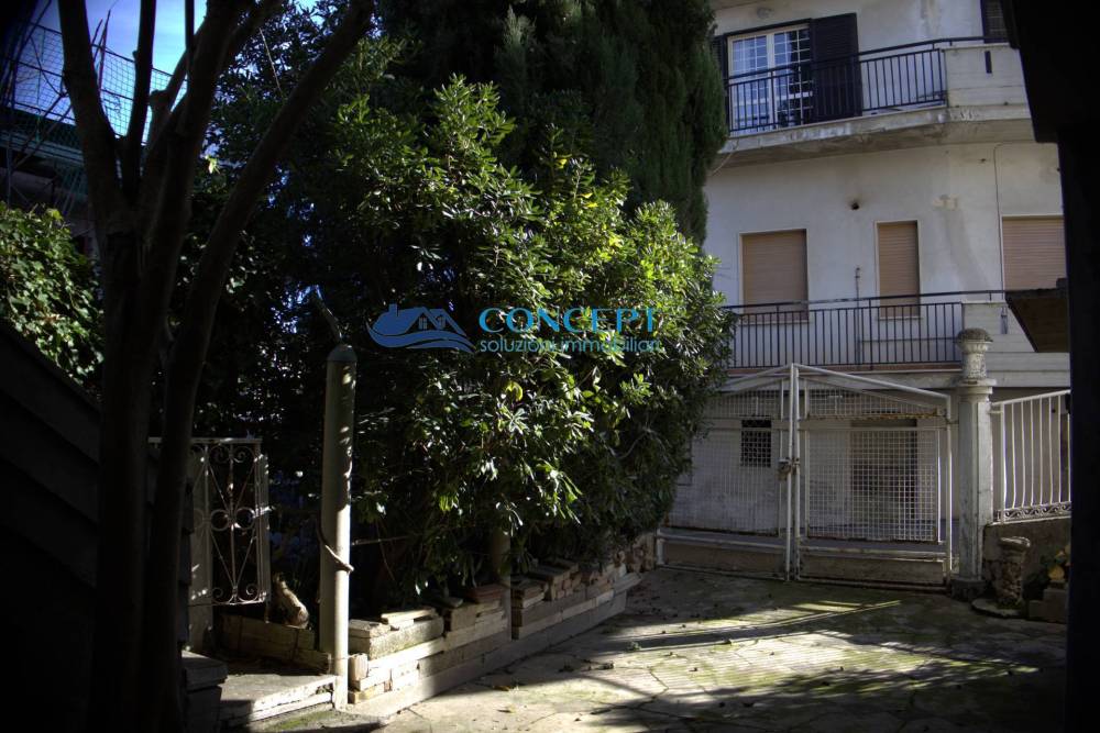 immagine annuncio 10 di 13