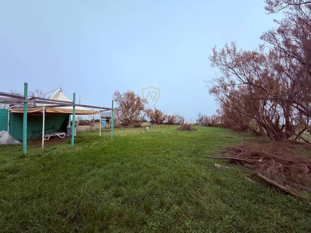 immagine annuncio 2 di 11