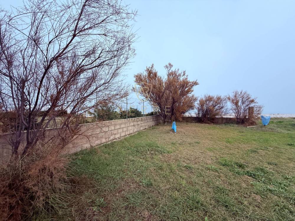 immagine annuncio 4 di 11