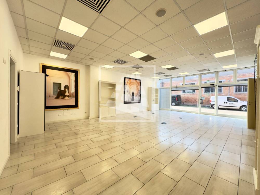 immagine annuncio 7 di 13