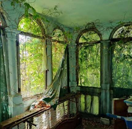 immagine annuncio 5 di 6