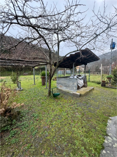 immagine annuncio 3 di 9